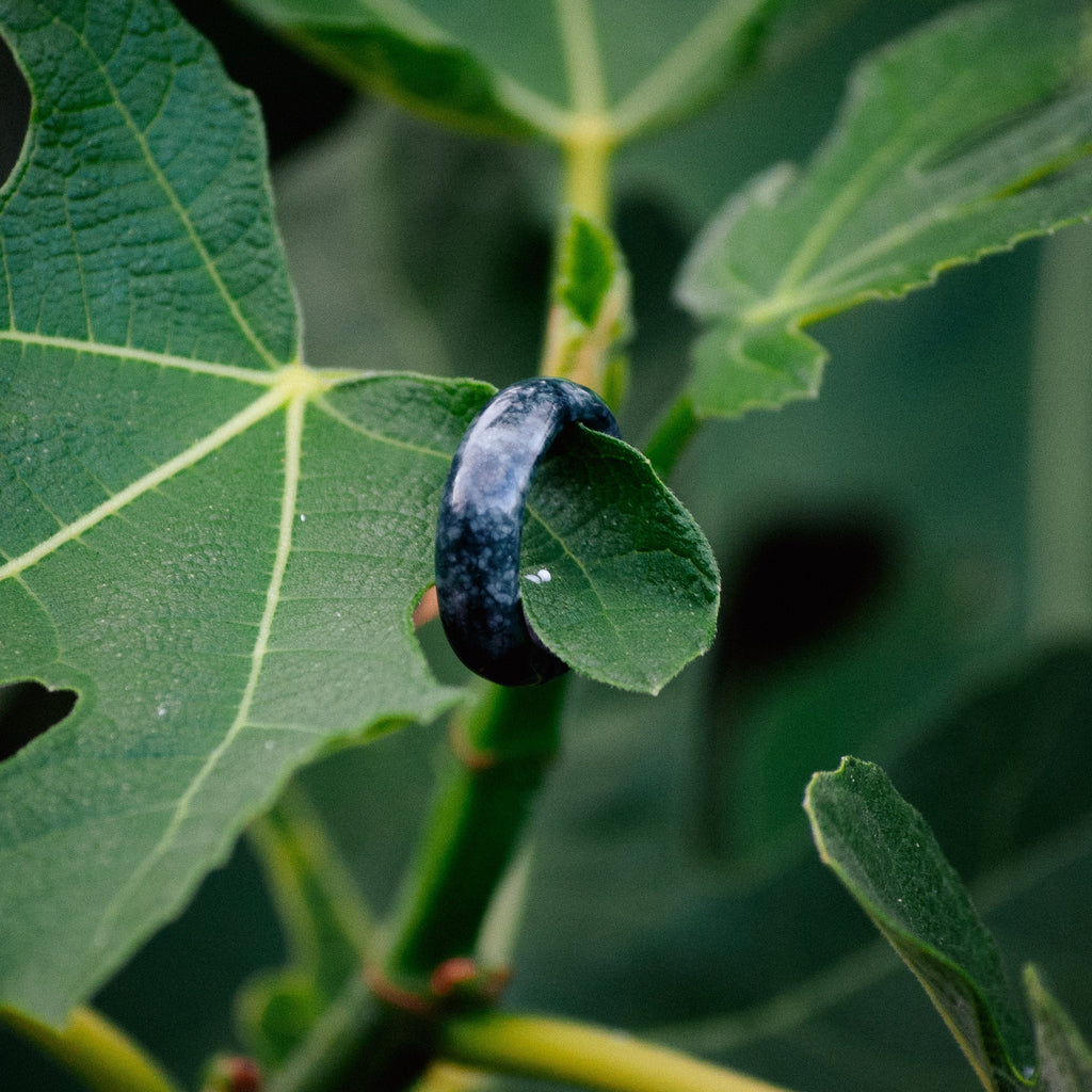 A close-up photograph of a dark, glossy jade ring resting on a green fig leaf, surrounded by other fig leaves and stems.
