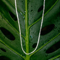 A delicate silver chain necklace draped over a large green monstera leaf with water droplets.