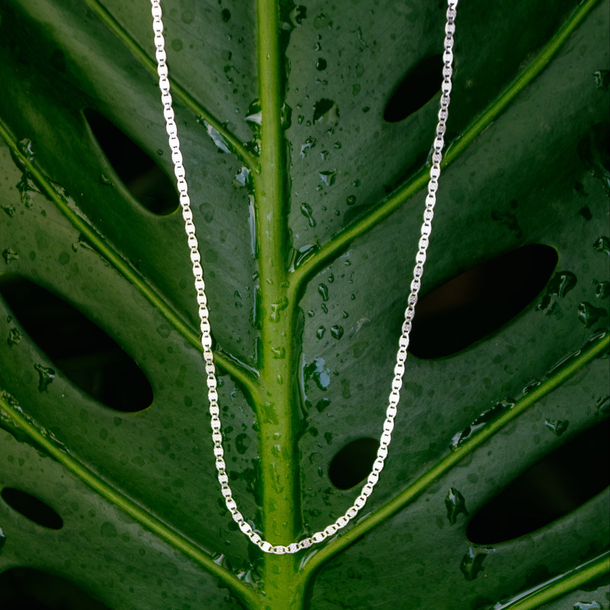 A delicate silver chain necklace draped over a large green monstera leaf with water droplets.