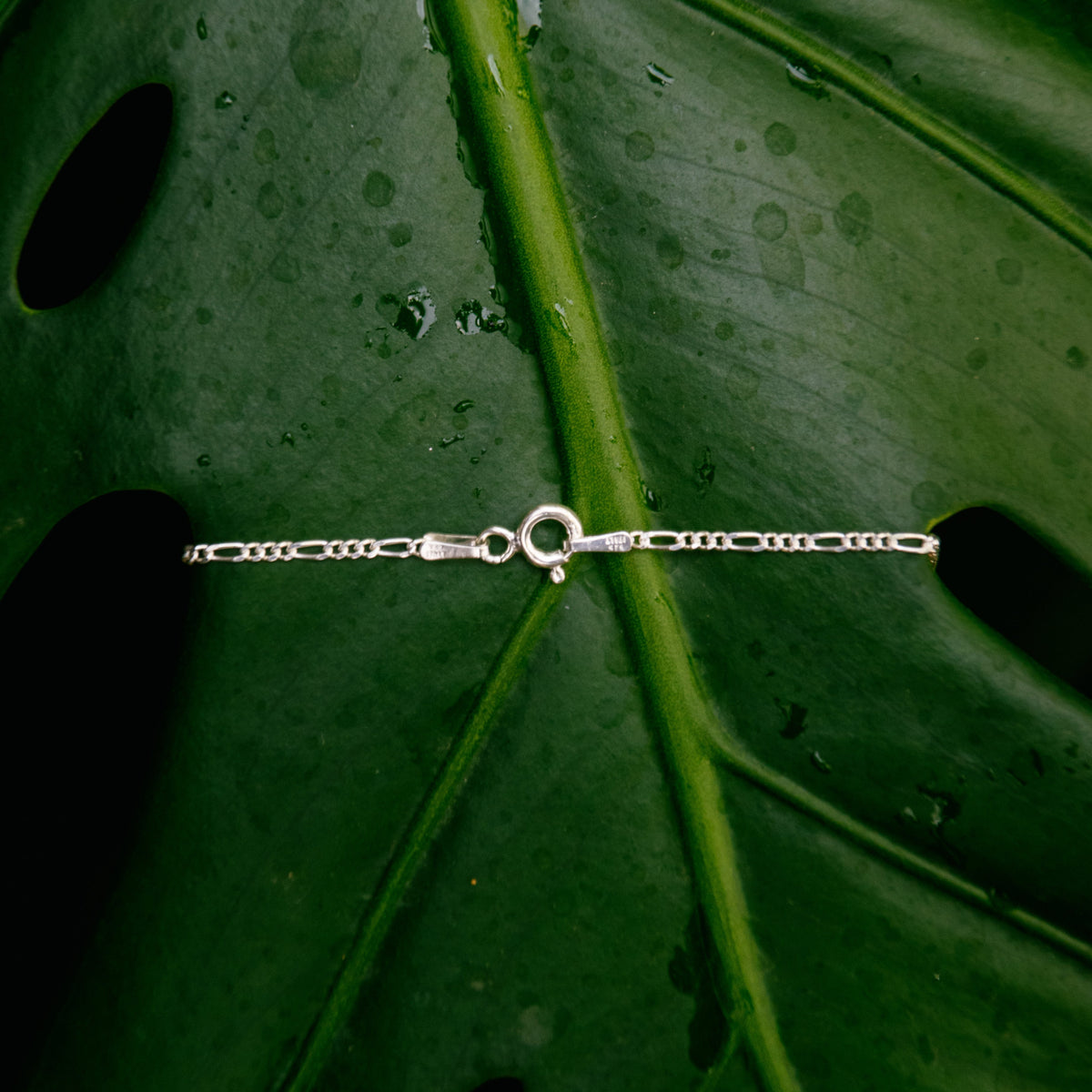 A delicate silver chain necklace with a central circular ring clasp, laid flat on a large green monstera leaf.