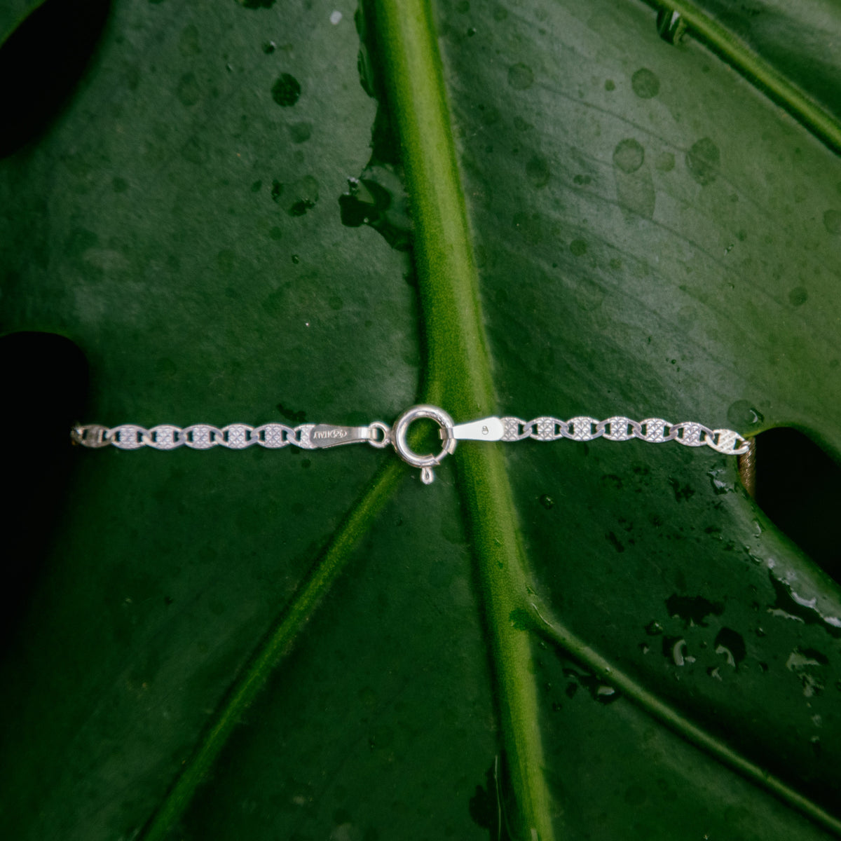 A delicate silver chain necklace with a central circular charm, laid horizontally across a large green leaf with water droplets.