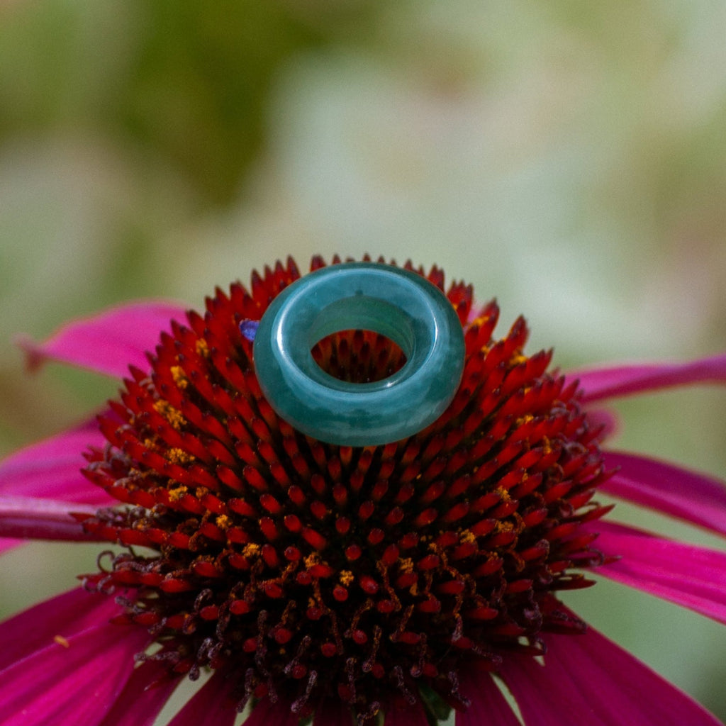 A close-up photograph of a bright pink coneflower with a small turquoise jade ring-shaped object perched on its dark brown center, set against a soft, blurred green garden background.