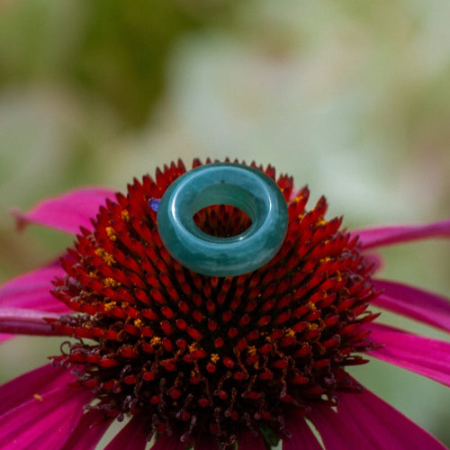 A close-up photograph of a bright pink coneflower with a small turquoise jade ring-shaped object perched on its dark brown center, set against a soft, blurred green garden background.