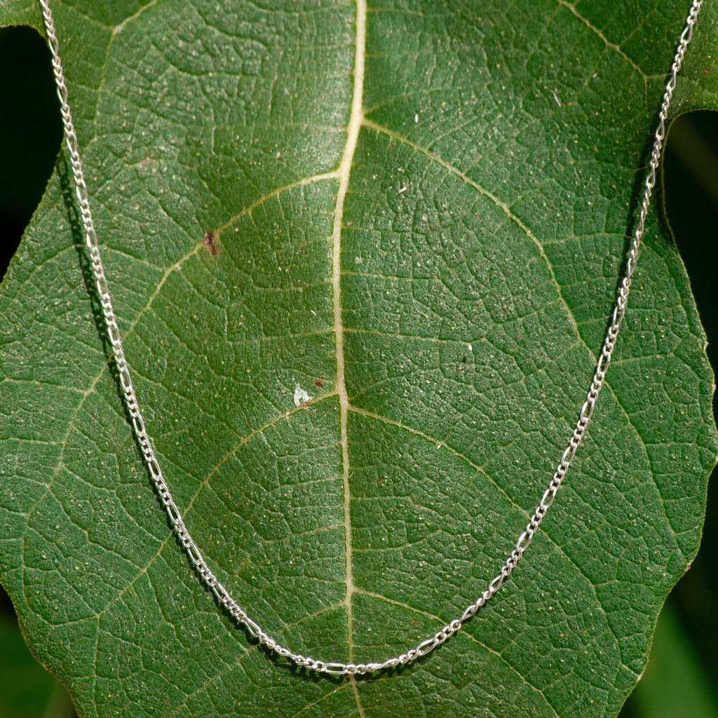 A delicate silver chain necklace draped over a large green leaf, with the chain forming a U-shape against a dark, blurred natural background.