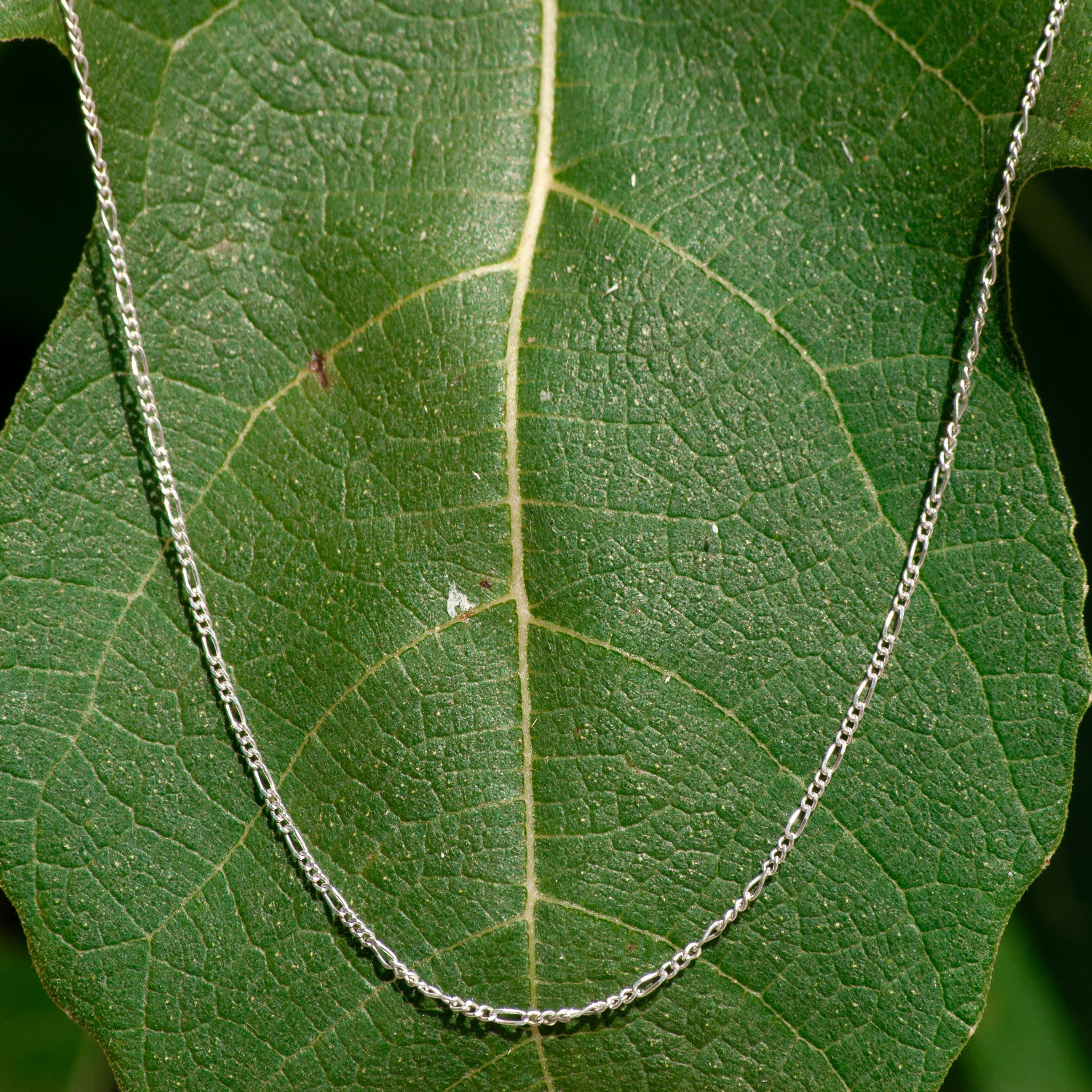 A delicate silver chain necklace draped over a large green leaf, with the chain forming a U-shape against a dark, blurred natural background.